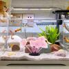 Glowing Silicone Coral Aquarium Decoration view 3