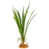 Luxshiny Artificial Reptile Plant with Base view 1