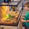 Luxshiny Artificial Reptile Plant with Base view 4
