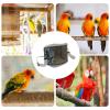 Budgerigar Travel Carrier for Outdoor Use view 4