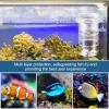 Fish Breeding Box - Aquarium view 2