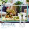 Fish Breeding Box - Aquarium view 3