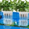 Aquatic Plant Holder with Suction Cups and Hooks view 2