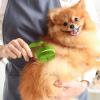Dog Bath Brush - Soft Pet Bath Brush with Handles view 3