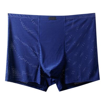 Men's Sheer Mesh Boxer Briefs