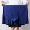 Men's Sheer Mesh Boxer Briefs view 2