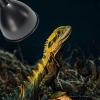 Deep Dome Reptile Lamp Fixture with Ceramic Socket view 4