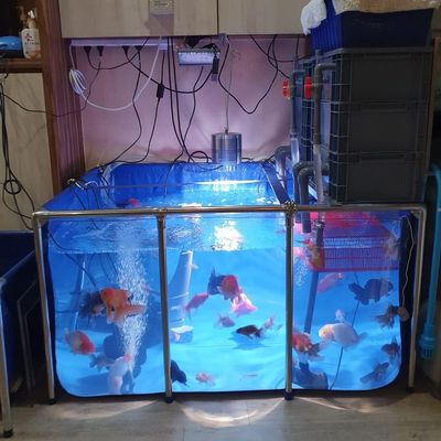 PVC Aquarium Canvas with Steel Frame and Clear Viewing Window, Easy Assembly for Large Fish and Aquatic Animals