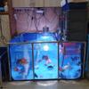 PVC Aquarium Canvas with Steel Frame and Clear Viewing Window, Easy Assembly for Large Fish and Aquatic Animals view 1