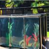 PVC Aquarium Canvas with Steel Frame and Clear Viewing Window, Easy Assembly for Large Fish and Aquatic Animals view 2