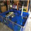 PVC Aquarium Canvas with Steel Frame and Clear Viewing Window, Easy Assembly for Large Fish and Aquatic Animals view 4
