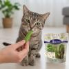 Lyra Pet 1 kg (5 x 200 g) Freeze-Dried Cat Snack Mix, 5 Varieties view 4
