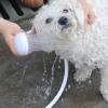 Dog Shower Sprayer view 2