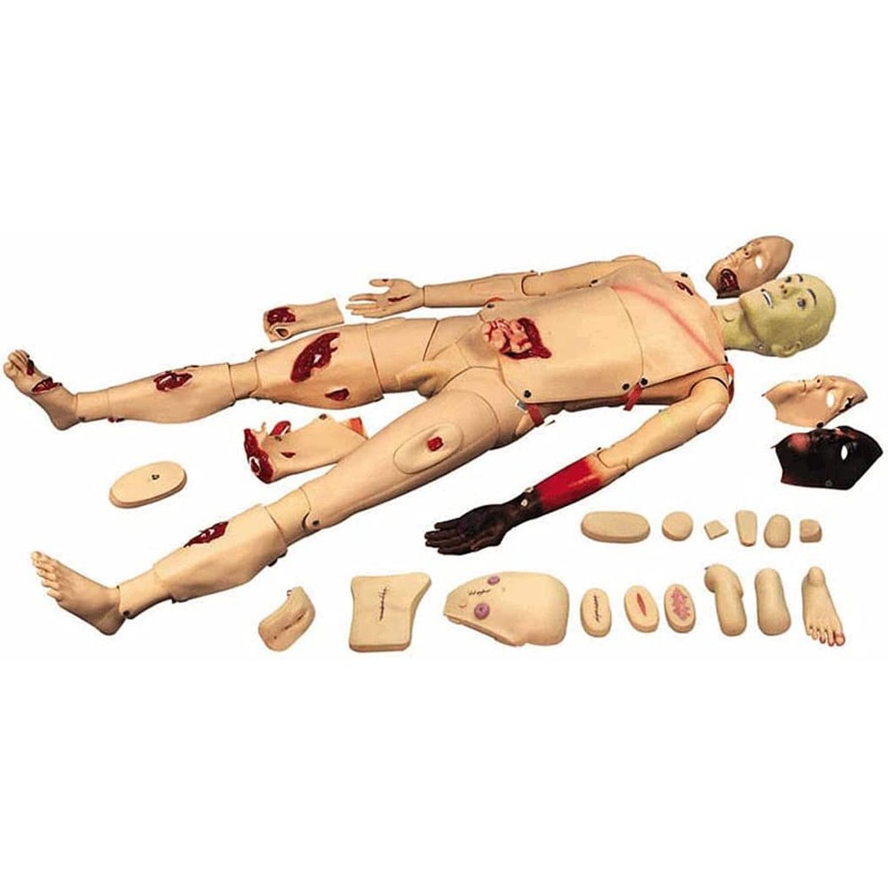 Trauma Manikin for Medical Training, 170 cm, Disassemblable Patient Care Model