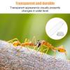 Ant Water Bottle, Liquid Container for Small Animals view 2