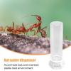 Ant Water Bottle, Liquid Container for Small Animals view 3