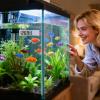 Digital Aquarium Temperature Gauge - 5-40°C view 3