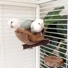 Greabuy Natural Bird Nest Resting Perch for Small Parrots view 3