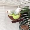 Greabuy Natural Bird Nest Resting Perch for Small Parrots view 4