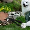 Abaodam Portable Dog Poop Scoop with Handle view 4