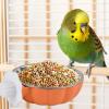 Hanging Bird Feeder Bowl for Parakeets view 3