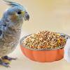 Hanging Bird Feeder Bowl for Parakeets view 4