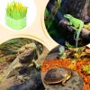 Reptile Humidifier with Decorative Plants view 3