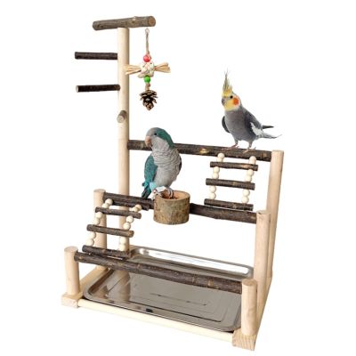 Parakeet Playground Bird Stand with Feeding Bowls and Natural Wood Perch