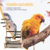 Parakeet Playground Bird Stand with Feeding Bowls and Natural Wood Perch view 2