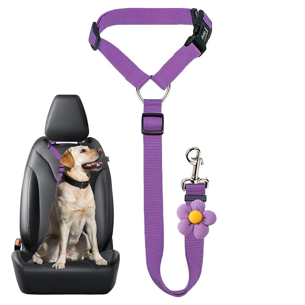 Mimoqk Dog Safety Harness for Car