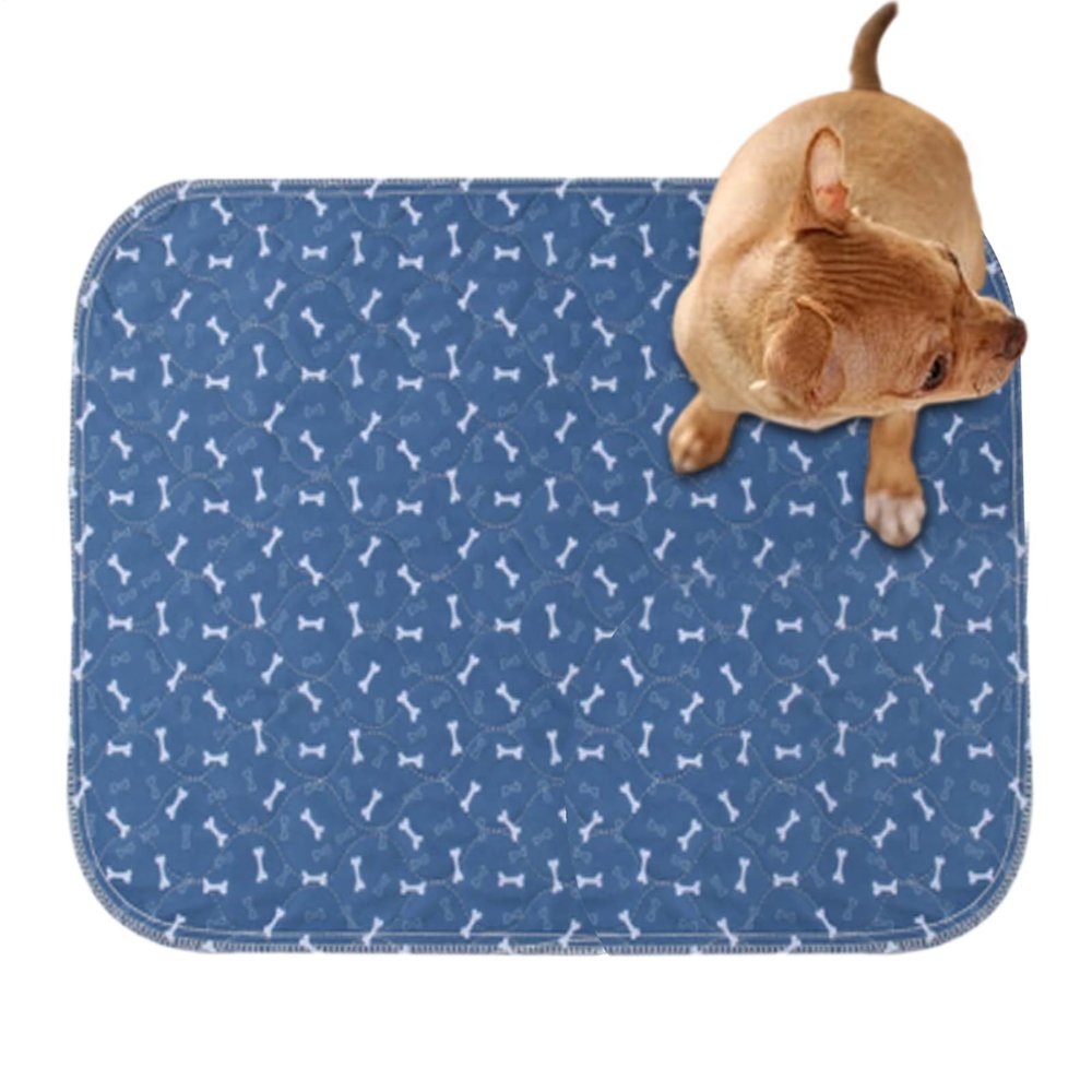 Pet Pee Pads | Leak-Proof, Highly Absorbent