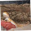 VERDANVERSE 2-Piece Cork Bark Terrarium Background, 10 x 20 cm, for Reptiles and Aquariums view 4