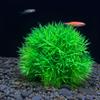 LOORGVEL 2-Piece Artificial Aquarium Plants, Plastic, Lifelike Décor for Fish Tanks and Ponds view 4