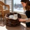 Generic Cat Bed with Washable Raised Edge for Sofa and Couch view 3