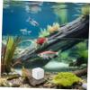 TOYZFRIENDY 10-Piece Calcium Mineral Blocks for Turtle Tanks, White Reptile Grinding Stones for Aquatic Turtles, Aquarium-Safe view 4
