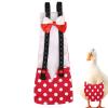 Duck Diapers for Poultry - Reusable & Adjustable view 1