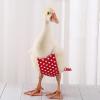 Duck Diapers for Poultry - Reusable & Adjustable view 2