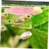 DIKACA 8 Floating Spawning Mops for Shrimp and Cichlids view 4