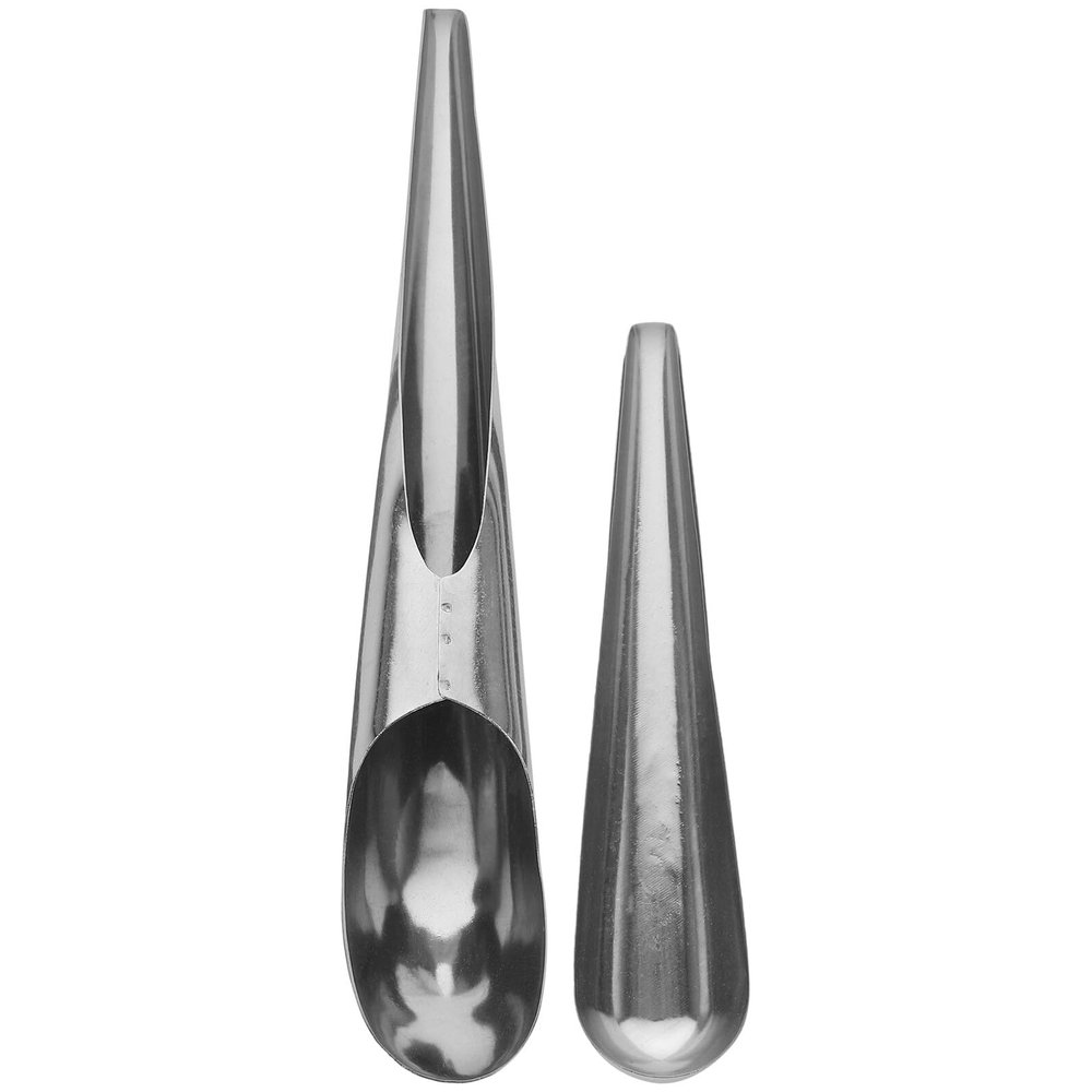 GANAZONO 2-Pack Stainless Steel Bird Feeding Spoon