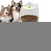 2L Automatic Pet Feeder with Press-to-Feed Bowl view 1