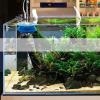 Aquarium Water Flow Deflector view 3