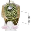 Bunny Hay Feeder, Grass Food Bowl for Small Pets view 1