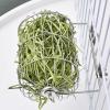 Bunny Hay Feeder, Grass Food Bowl for Small Pets view 3