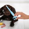 Garneck ABS Pet Medication Dispenser for Cats and Dogs view 4