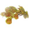 IMIKEYA Hanging Artificial Green Plant Decor for Reptile Terrariums view 1
