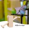 Bird Play Stand - Interactive Swing Toy for Parakeets view 3
