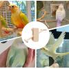 Bird Play Stand - Interactive Swing Toy for Parakeets view 4