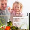 ELEOUTI Plastic Reptile Breeding Box with Nylon Divider for Aquarium Fish view 4