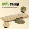 Generic Catnip Toy Pillow for Cats view 4
