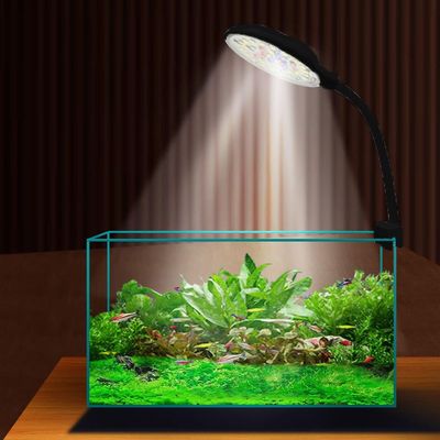 USB Aquarium Light 5W 7W with Adjustable Clip (7W)
